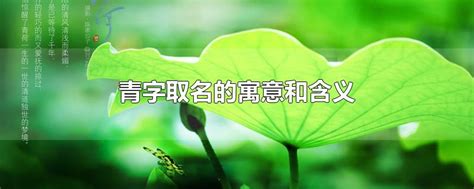 青名字意思|青字取名的含义是什么